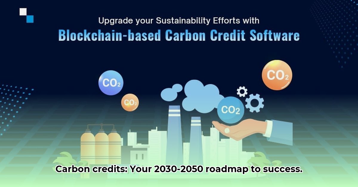 sustainable-business-carbon-credits